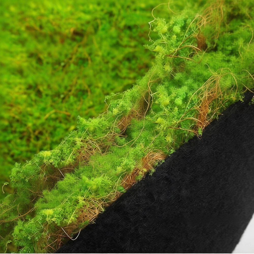 Faux Moss Turf Mat Artificial  - Preserved Moss Sheet review and price