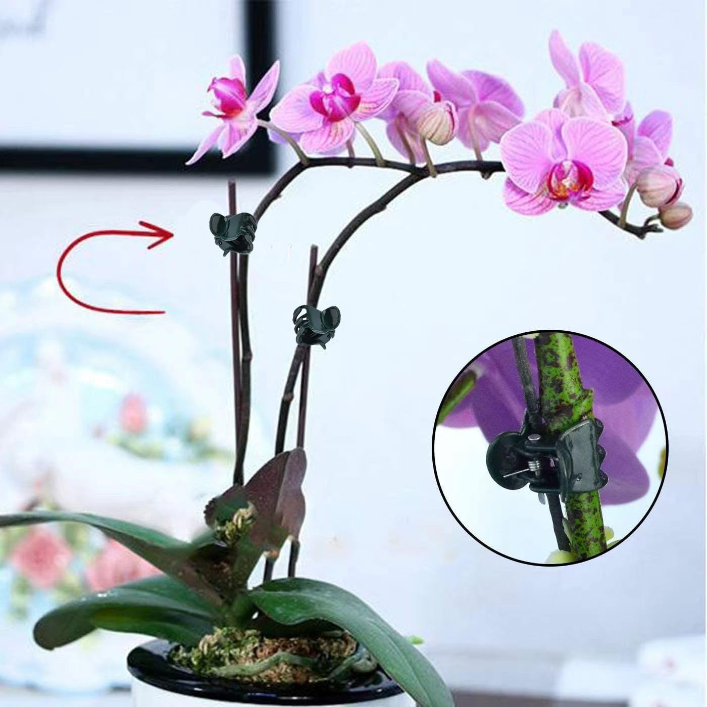 Mini Plant Clips 100PCS Garden - Florist Supply Bulk review and price