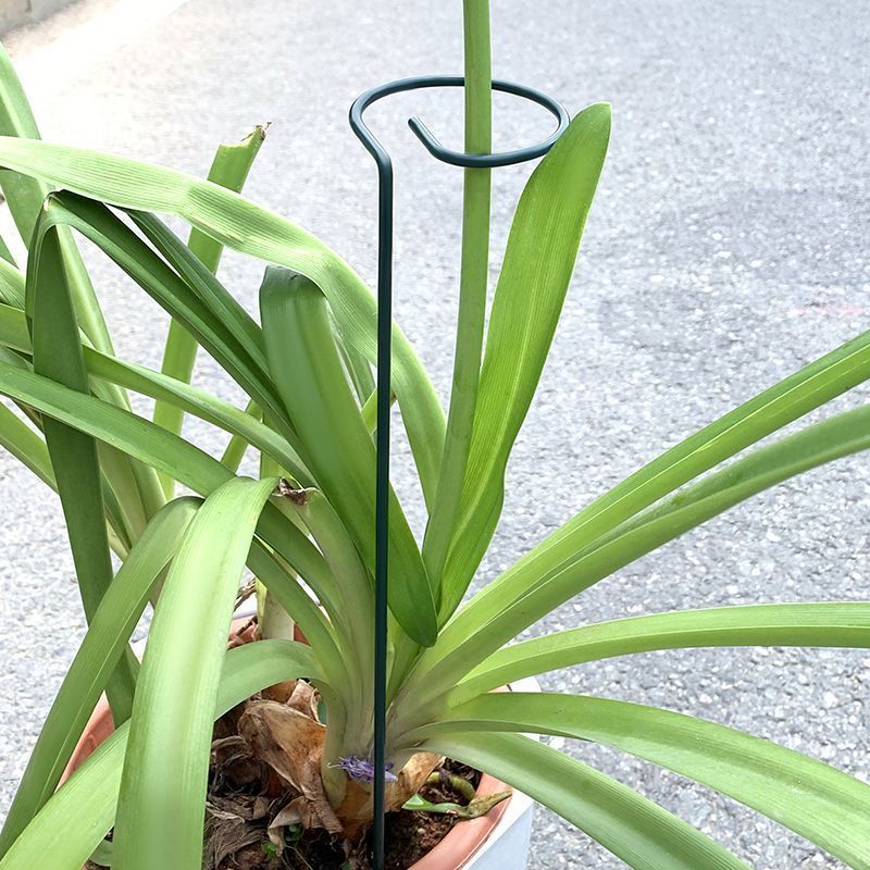 1-10pcs Metal Single Stem Plan - Florist Supply Bulk review and price